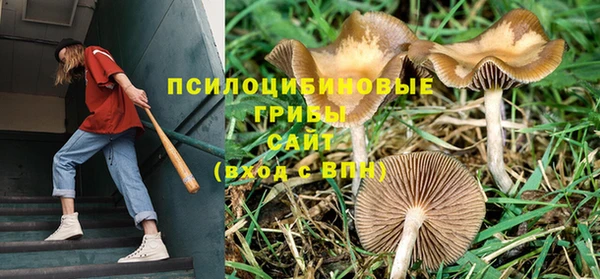соль курить ск Куйбышев